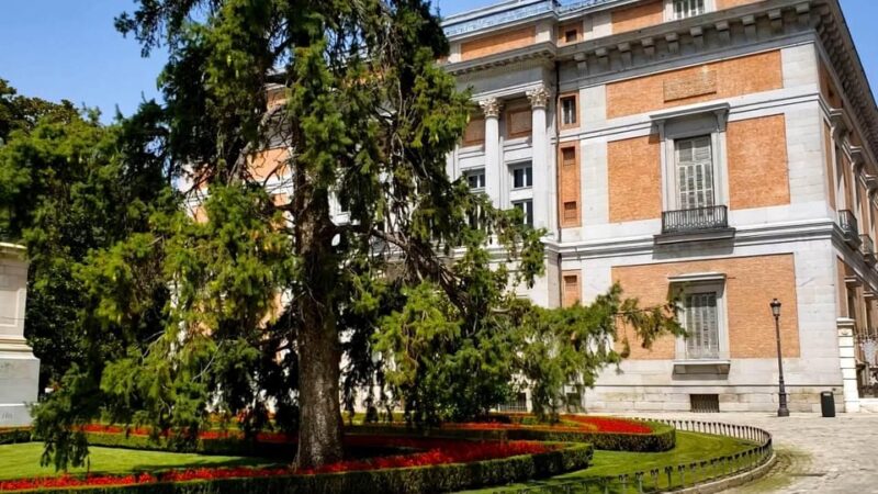 PRADO MUSEUM HIGHLIGHTS PRIVATE TOUR - Expert Guide Insights