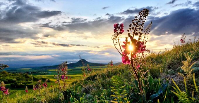 Prague: Bohemian Uplands Garnet Panning&Animal Farm 4WD Tour - Exploring Picturesque Landscapes