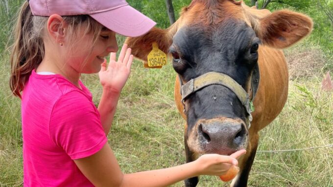 Prague: Bohemian Uplands Garnet Panning&Animal Farm 4WD Tour - Frequently Asked Questions