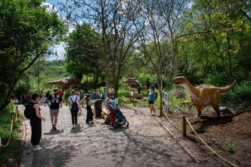 Prague DinoLive: Dinosaur Park Entry Ticket - The Value and Who Should Visit