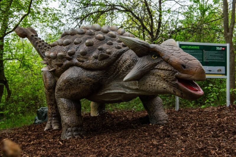 Prague DinoLive: Dinosaur Park Entry Ticket - Frequently Asked Questions