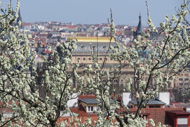 Prague Literary & Historical Tours - Literature Route - An In-Depth Look at the Tour