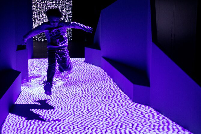 Prague Lumia Light Show With Gallery Ticket - Key Details
