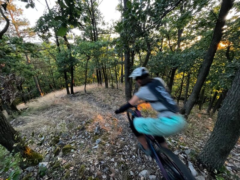 Prague Mountain Biking: Blast Through The Best Singletracks - Refueling With Local Delights Post-Ride