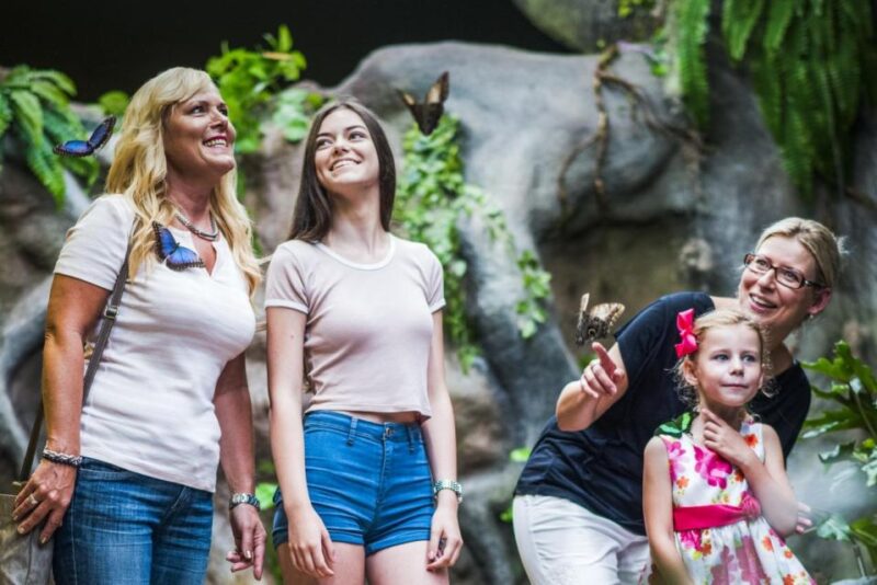 Prague: Papilonia Butterfly House - Experience Highlights