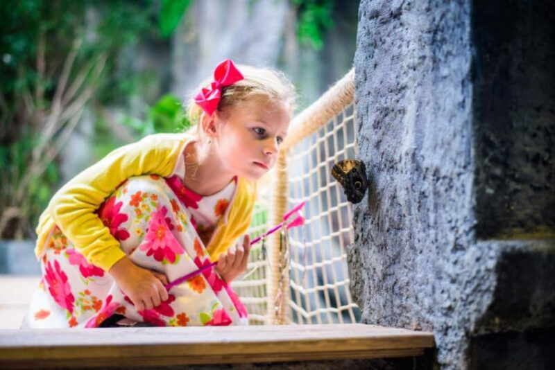 Prague: Papilonia Butterfly House - Directions and Meeting Point