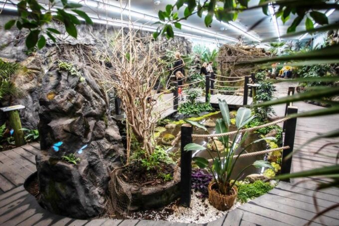 Prague: Papilonia Butterfly House - Accessibility and Amenities