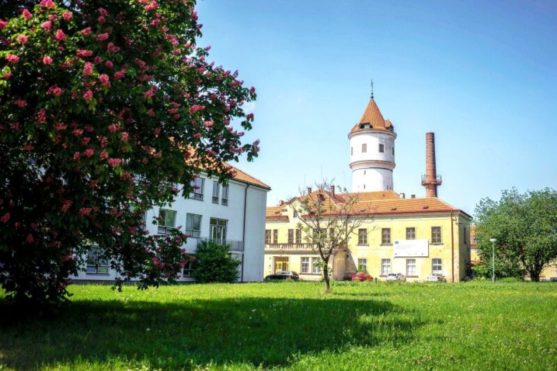 Prague: Psychiatric Hospital and Abandoned Cemetery Tour - Experience Highlights