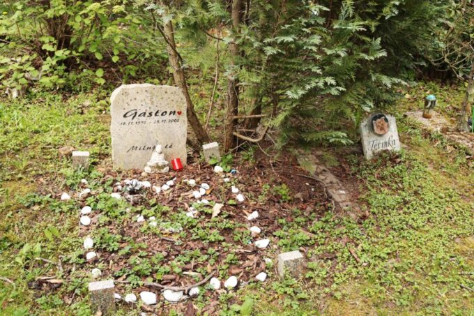 Prague: Psychiatric Hospital and Abandoned Cemetery Tour - Frequently Asked Questions