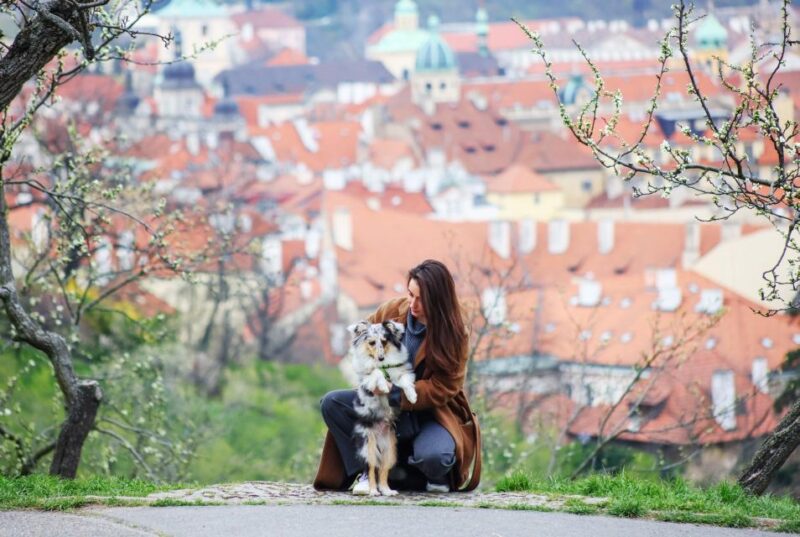 Prague: Skip-the-Line Petrin Tower Tour via Petrin Funicular - Good To Know