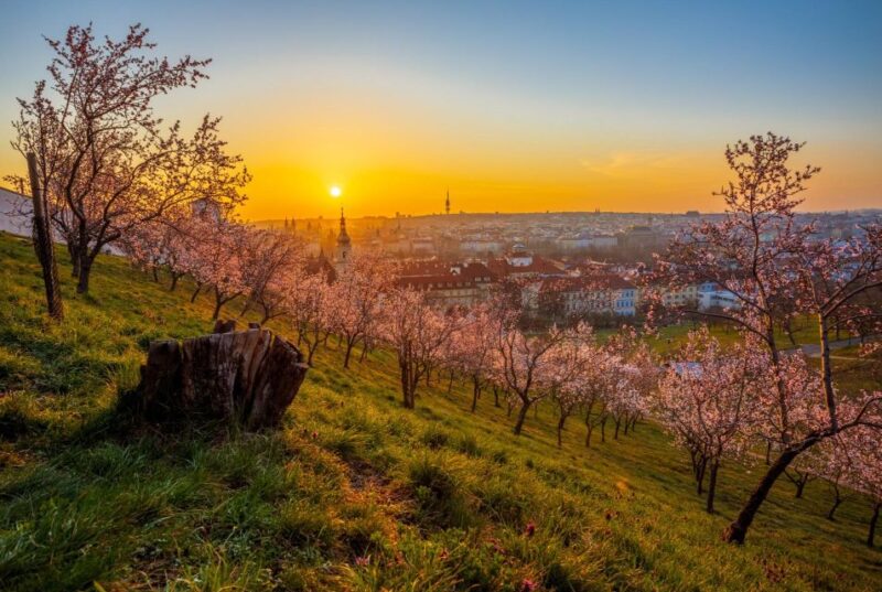 Prague: Skip-the-Line Petrin Tower Tour via Petrin Funicular - Experience Highlights