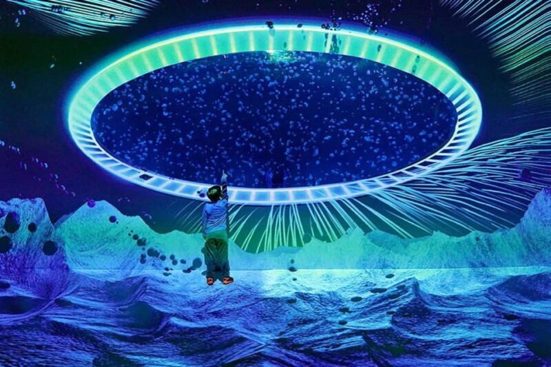 Prague: The World Of Jellyfish Entry Ticket w/ Drink - The Experience: What You Can Expect