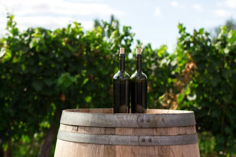Prague Wine Tour - Key Points