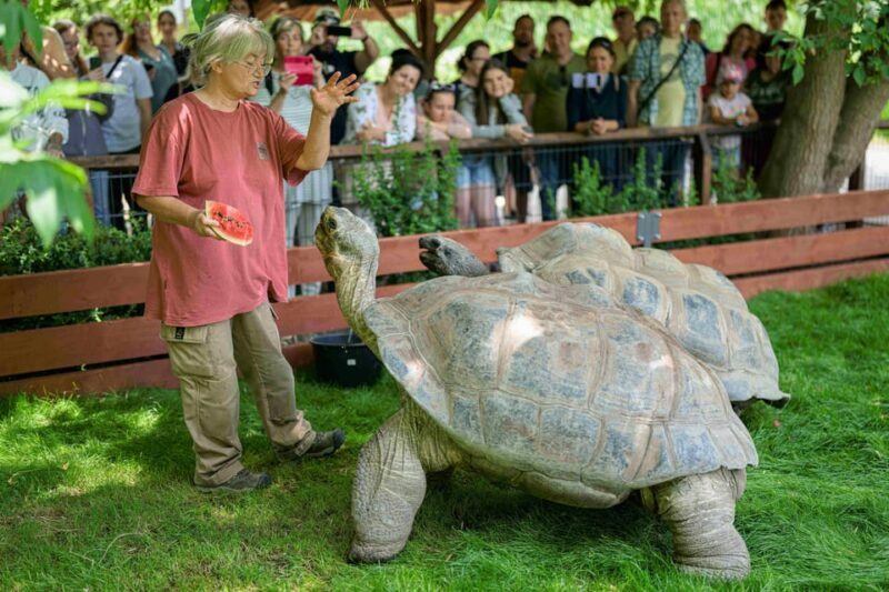 Prague Zoo: Skip-the-Line Entry Ticket - What the Reviews Say: Authentic Perspectives