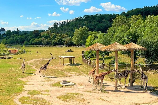 Prague Zoo Ticket With Online Audio Guide - Operating Hours and Opening Dates