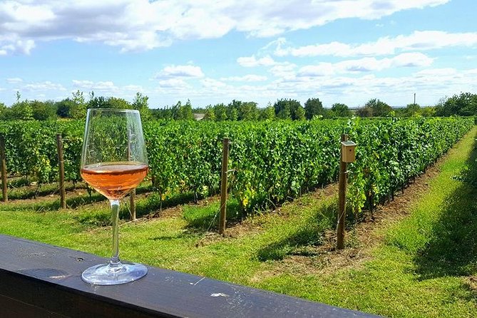 Prahova Valley Wine Tour From Bucharest Small Group - Key Points
