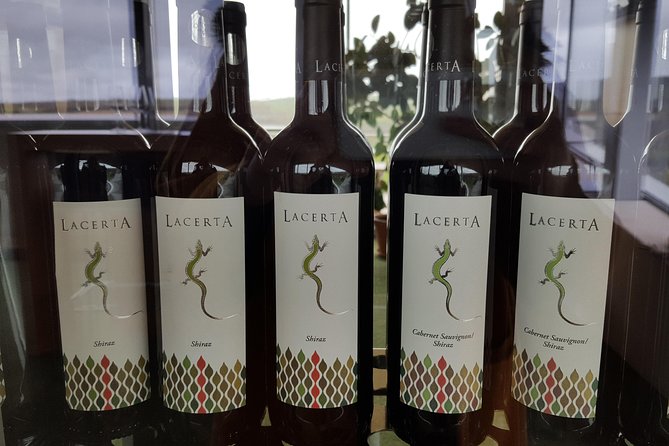 Prahova Valley Wine Tour From Bucharest Small Group - Guest Photography Highlights