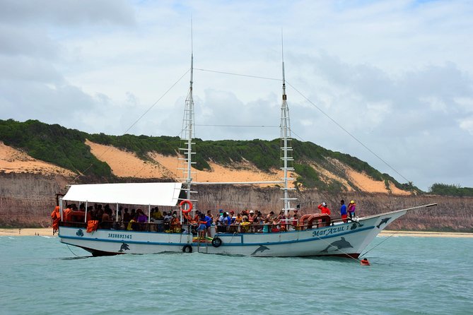 Praia De Pipa Private Transfer From Natal Airport - Accessibility and Special Requirements