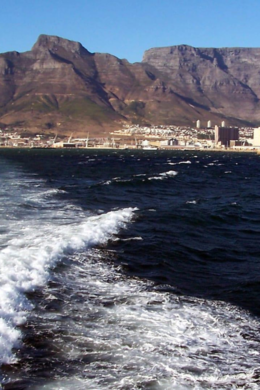 Pre-Booked Robben Island Half-Day Private Tour in Cape Town - Inclusions