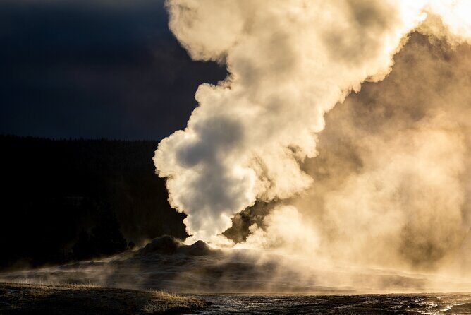 Predators of the Wild, Bear and Wolf Watching Adventure - Who Will Love This Tour?