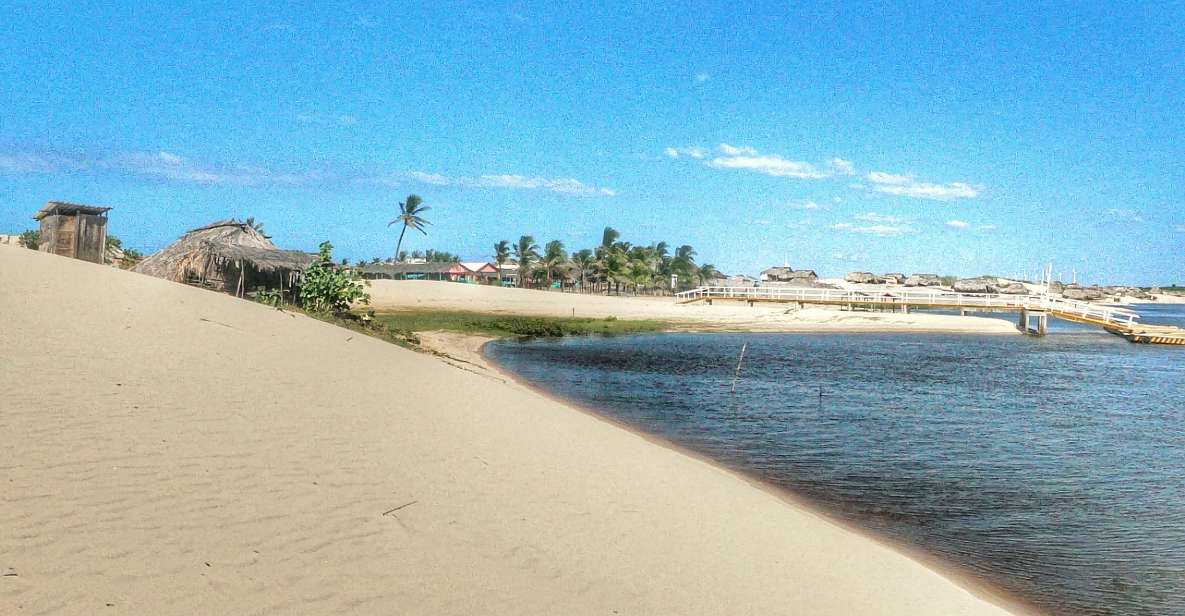 Preguicas River Speedboat Tour - Experience Highlights