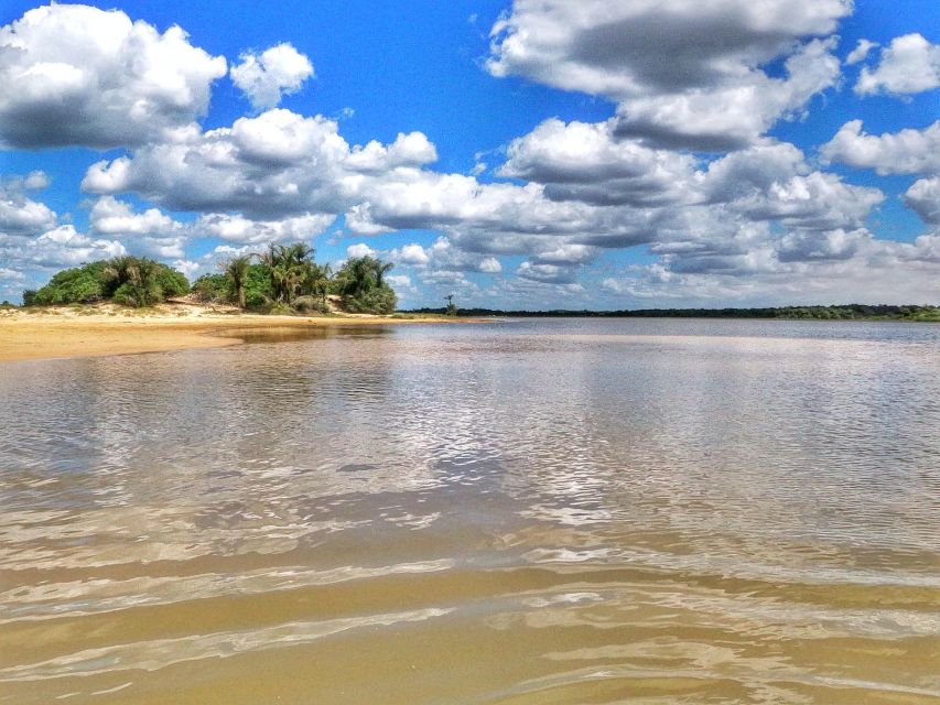 Preguicas River Speedboat Tour - Full Tour Description