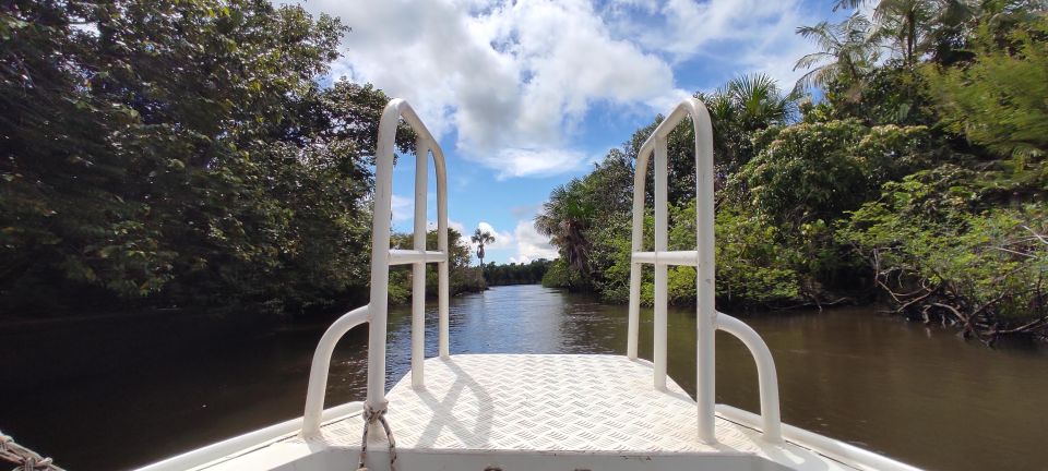 Preguicas River Speedboat Tour - Customer Feedback