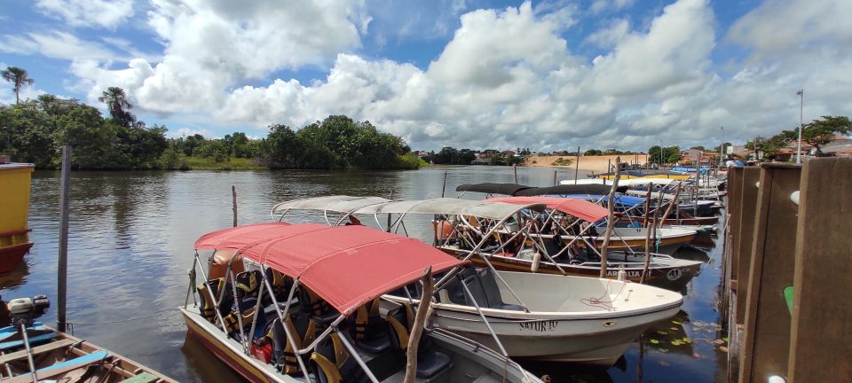 Preguicas River Speedboat Tour - What to Expect