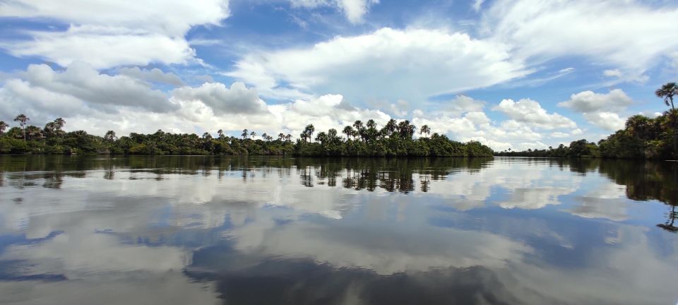 Preguicas River Speedboat Tour - Frequently Asked Questions