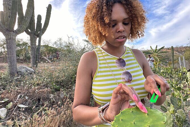 Prehispanic Tacos Cooking Class - What’s Included and What to Consider