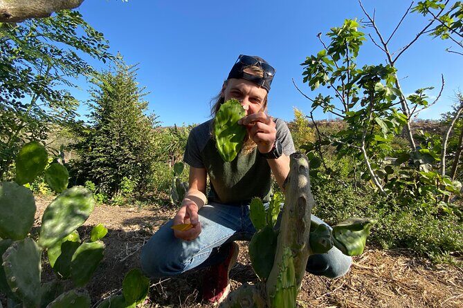 Prehispanic Tacos Cooking Class - Who Should Consider This Tour?