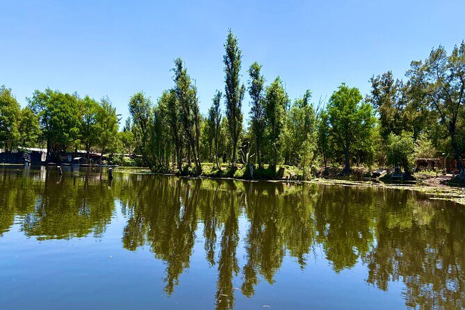 Prehispanic Xochimilco: Market, chinampas and axolotls - Final Thoughts: Who Should Consider This Tour?