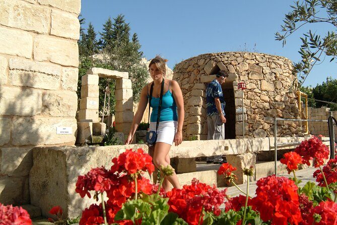 Prehistoric Temples, Limestone Heritage and Blue Grotto Tour - Who Should Consider This Tour?