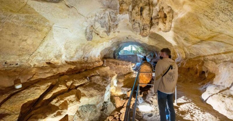 Prehistoric Temples of Malta Tour - Transportation and Tour Experience