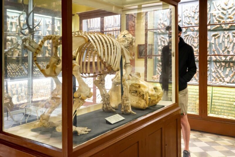 Prehistoric Temples of Malta Tour - The Value of This Tour