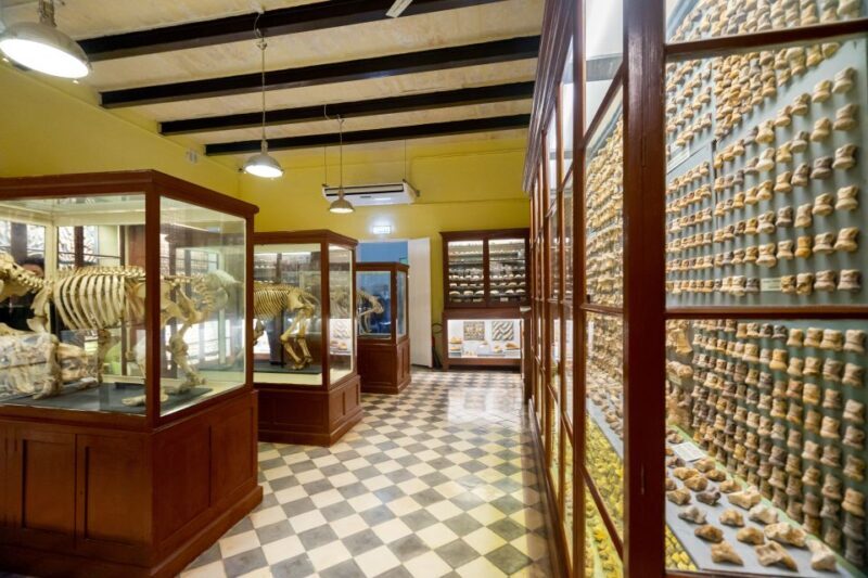 Prehistoric Temples of Malta Tour - FAQ