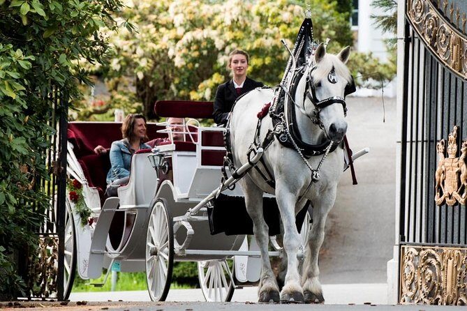 Premier Horse-Drawn Carriage Experience in Victoria - Key Points