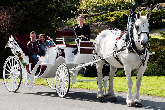 Premier Horse-Drawn Carriage Experience in Victoria - Frequently Asked Questions