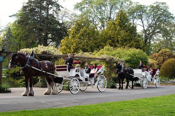 Premier Horse-Drawn Carriage Experience in Victoria - Summing Up