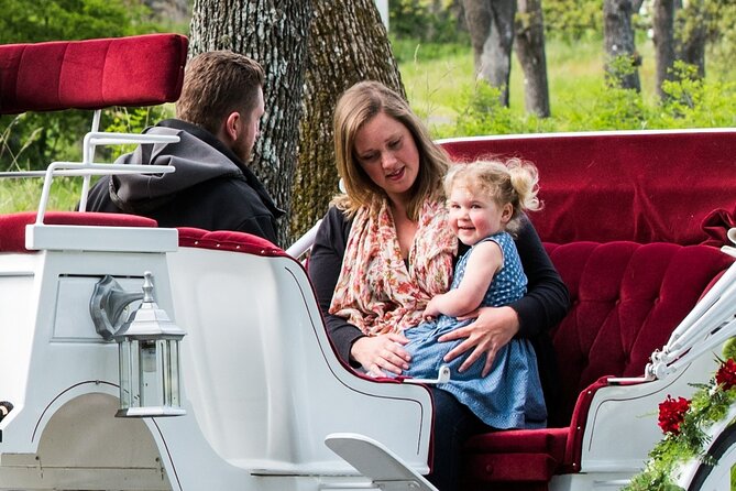 Premier Horse-Drawn Carriage Experience in Victoria - Good To Know