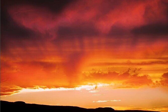 Premier Wildlife Tours in Saguaro National Park - Why This Tour is Worth Considering