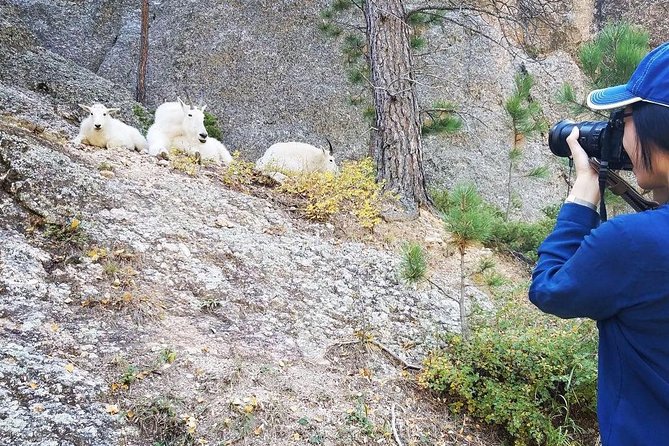 Premiere Private Black Hills Tour: Mt Rushmore, Crazy Horse & Custer State Park - Accessibility Features