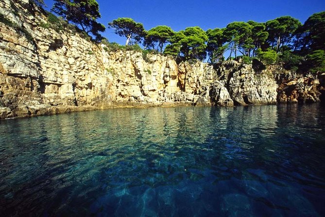 PREMIUM 8 Hours Private Speedboat Tour to Elaphite Islands - Customer Ratings and Feedback