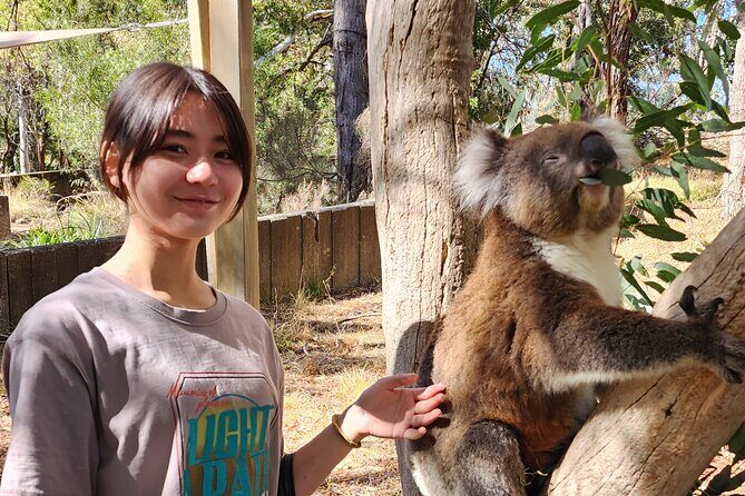 Premium Adelaide Hills Cleland Wildlife and Hahndorf Minibus Tour - Final Thoughts