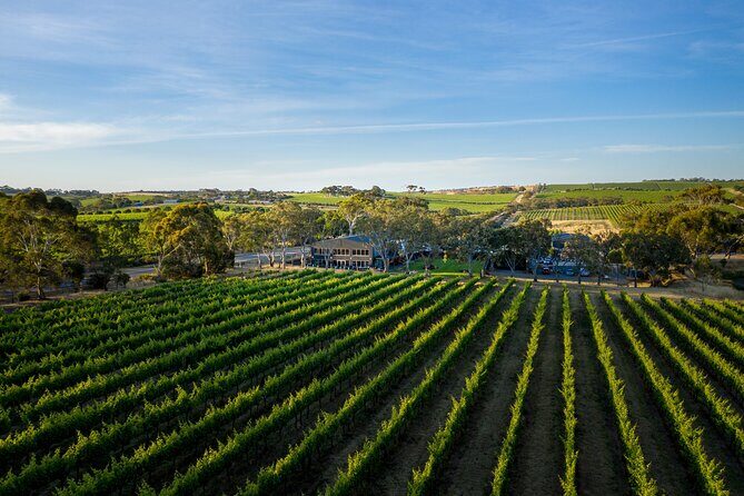 Premium All-Inclusive McLaren Vale Wine and Brew Minibus Tour - Authentic Experiences and Traveler Feedback