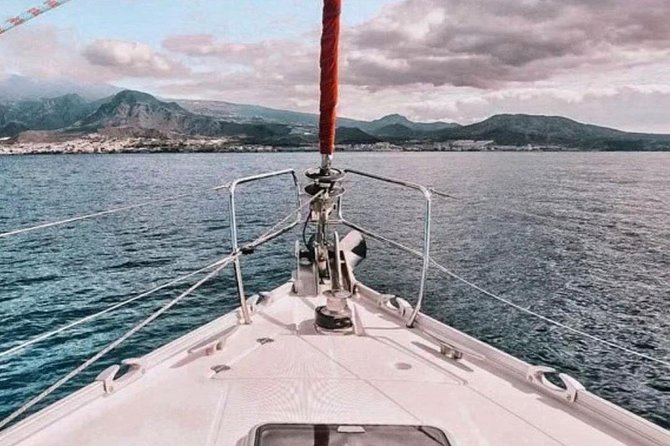 Premium All Inclusive Whale & Dolphin Watching Experience - Flexible Booking and Cancellation