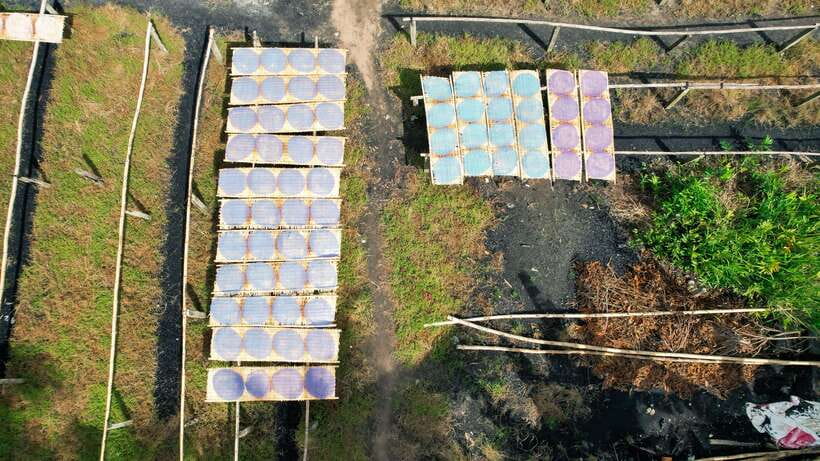 Premium Can Tho Floating Market - Fruit Garden - Cacao Farm - Overview of the Tour Experience