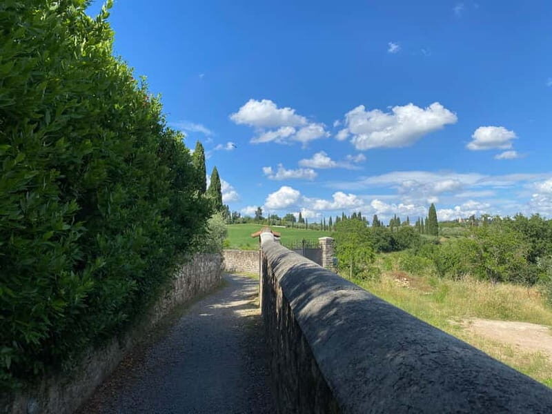 Premium Chianti E-Bike Tour, Food Wine Tasting + Photo shoot - An In-Depth Look at the Experience