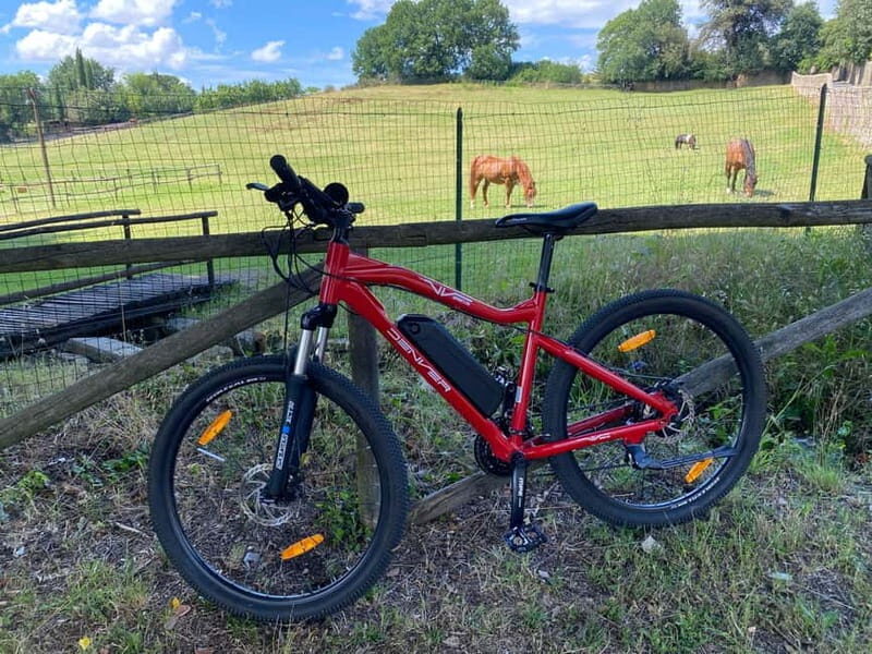 Premium Chianti E-Bike Tour, Food Wine Tasting + Photo shoot - The Sum Up