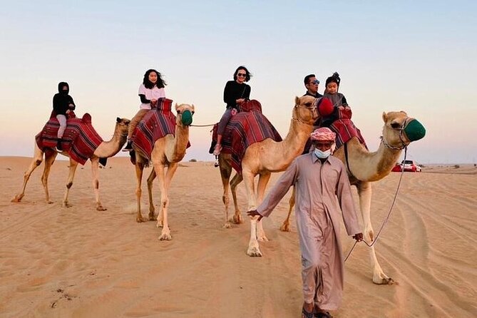 Premium Dubai Red Dunes With Quadbike, Camel Ride and VIP Dinner - Additional Tips